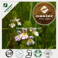 High Quality Euphrasia regelii Wettst. Eyebright Extract Powder 10:1